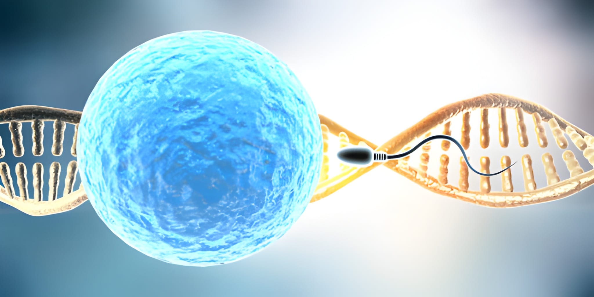 Male Infertility: Role of a Urologist in Diagnosis and Treatment